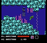 une photo d'Ã©cran de Teenage Mutant Hero Turtles sur Nintendo Nes